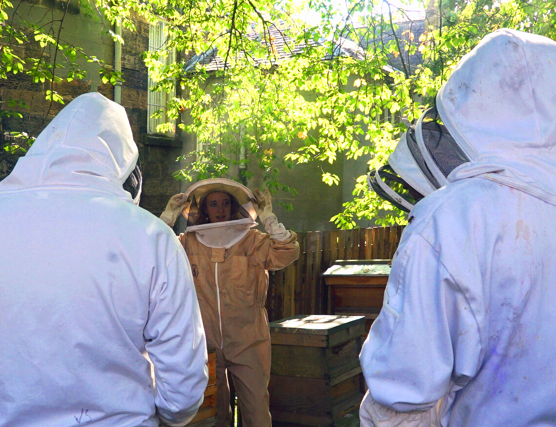 glasgow uni src beekeeping society